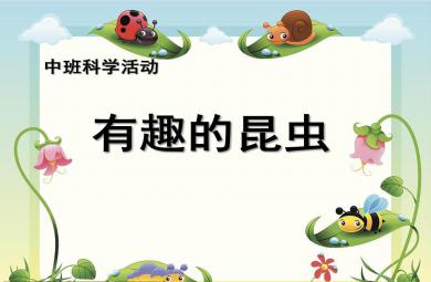 中班科學課件有趣的昆蟲PPT課件