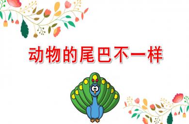 中班語言動物的尾巴不一樣PPT課件