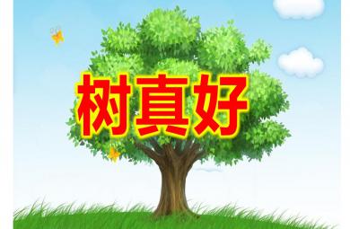 大班語言課件樹真好PPT課件