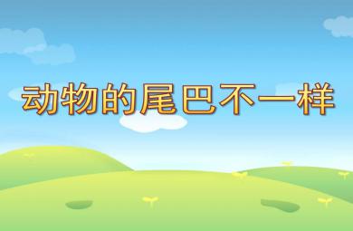 中班聽說游戲動物的尾巴不一樣PPT課件