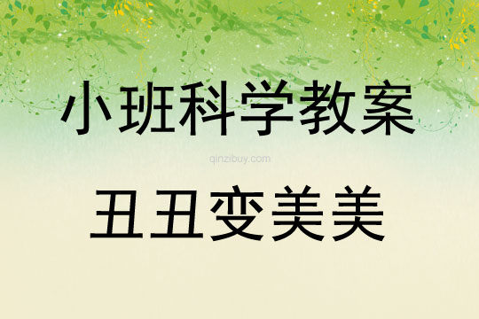 小班科學丑丑變美美教案反思