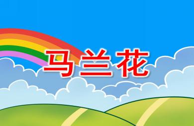 中班音樂馬蘭花PPT課件音樂