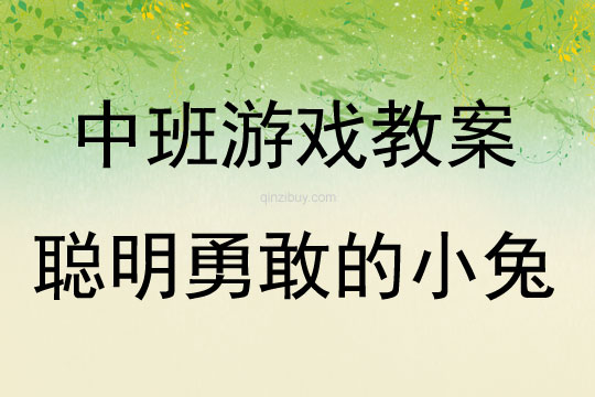 中班戶外體育活動游戲聰明勇敢的小兔教案反思
