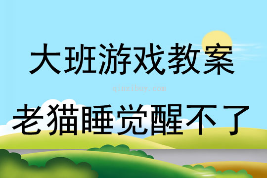 大班體育游戲老貓睡覺醒不了教案反思