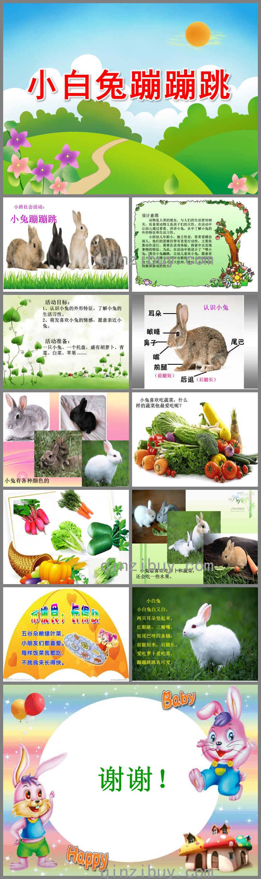 小班社會小白兔蹦蹦跳PPT課件