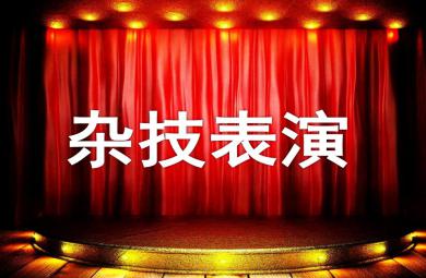 大班打擊樂雜技表演PPT課件音樂