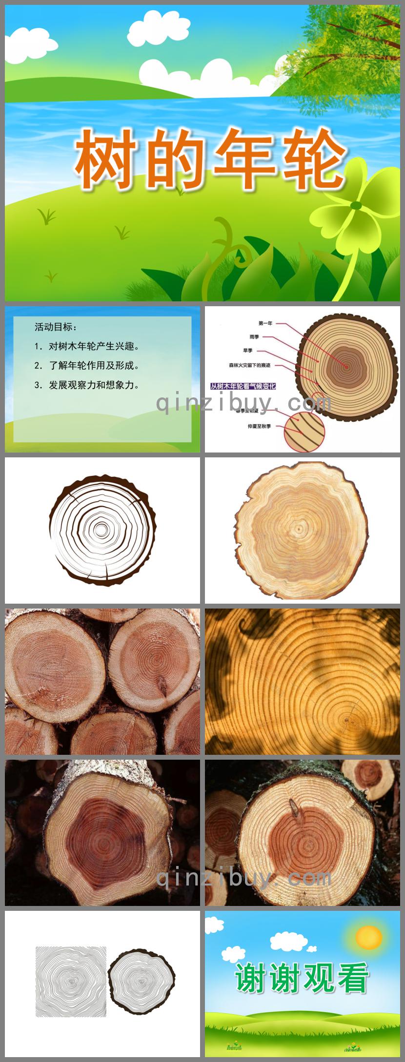 幼兒園樹的年輪PPT課件