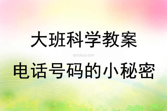 大班科學電話號碼的小秘密教案反思