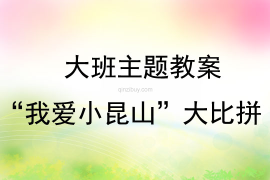 大班學(xué)習(xí)活動“我愛小昆山”大比拼教案