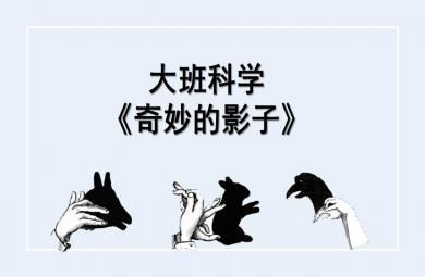 大班科學公開課奇妙的影子PPT課件