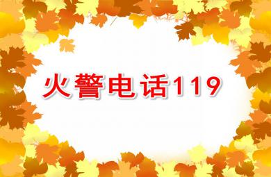 大班語言故事火警電話119 PPT課件