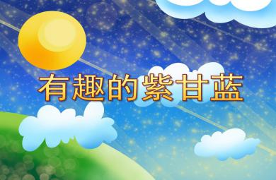 中班科學探究有趣的紫甘藍PPT課件