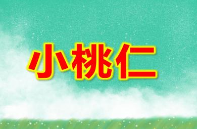 大班語言課件小桃仁PPT課件