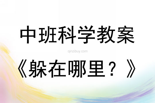 中班科學“躲在哪里？”教案反思