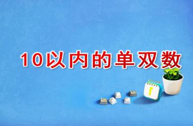大班數(shù)學課件10以內(nèi)的單雙數(shù)PPT課件