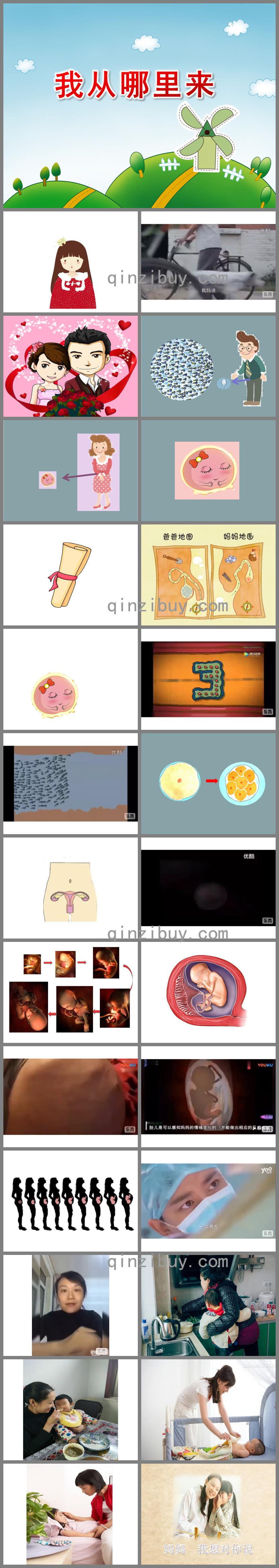 大班科學公開課我從哪里來PPT課件