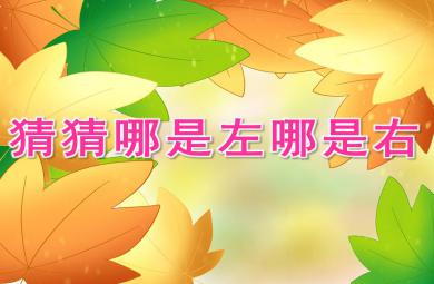 大班科學游戲猜猜哪是左哪是右PPT課件