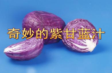 中班科學奇妙的紫甘藍汁PPT課件