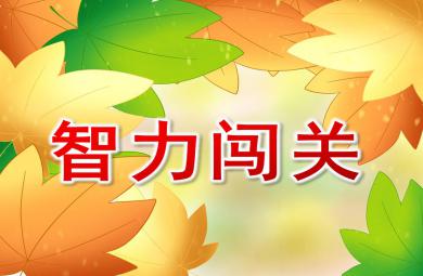 大班數學活動智力闖關PPT課件