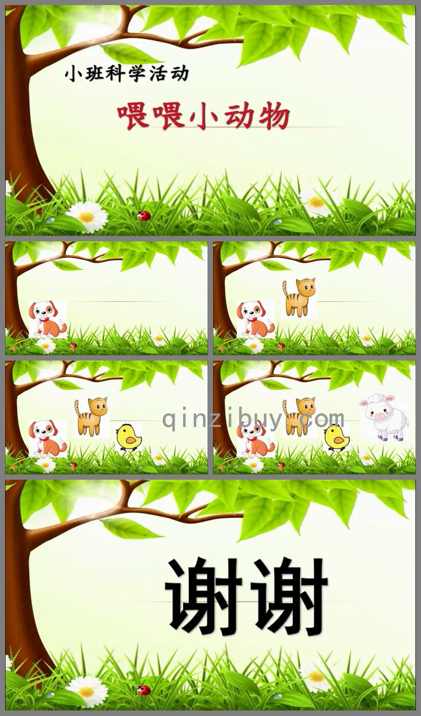 小班科學喂喂小動物PPT課件