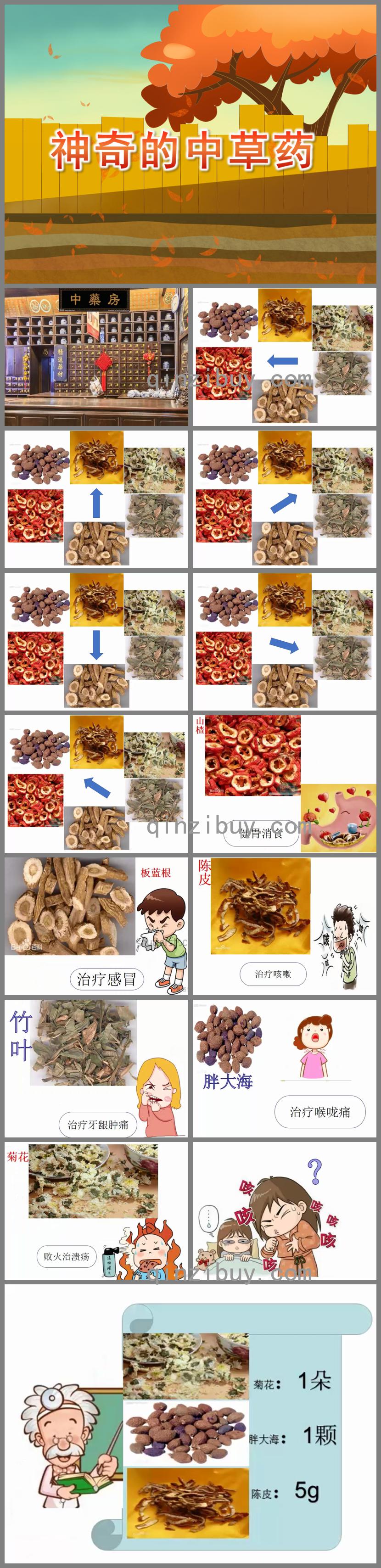大班科學公開課神奇的中草藥PPT課件