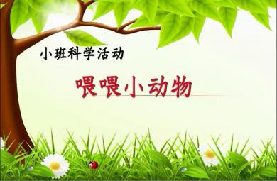 小班科學喂喂小動物PPT課件