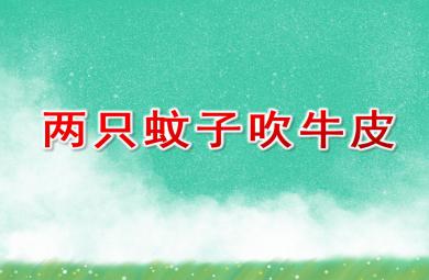 中班語言兩只蚊子吹牛皮PPT課件