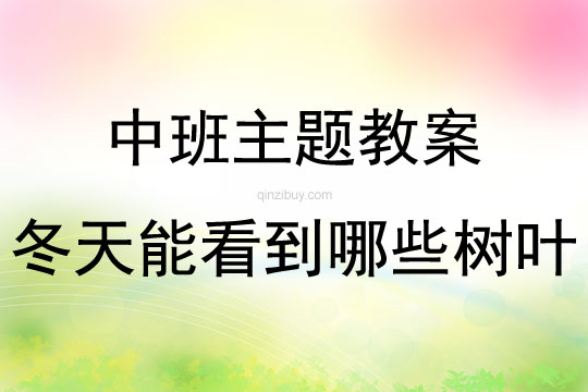 中班主題冬天能看到哪些樹葉說課稿教案反思
