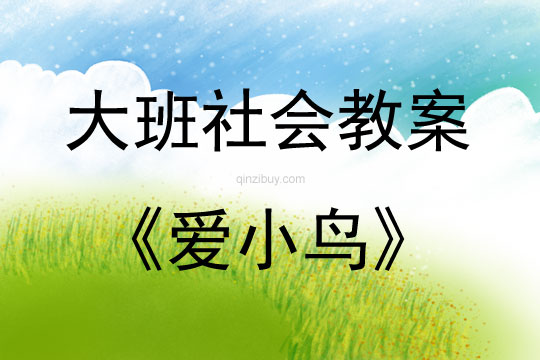 大班社會活動愛小鳥教案反思