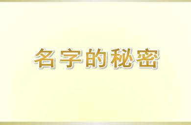 大班社會名字的秘密PPT課件
