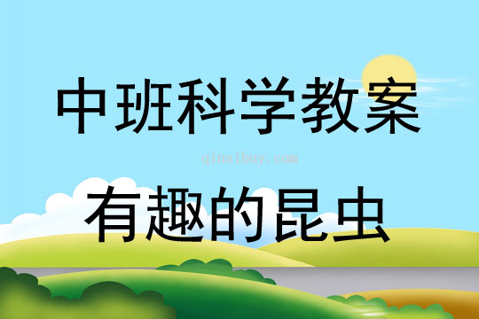 中班科學(xué)有趣的昆蟲教案反思