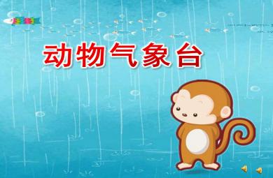 中班動物氣象臺PPT課件