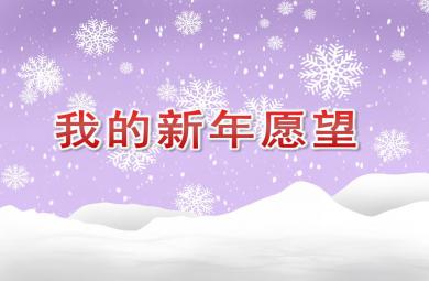 大班主題我的新年愿望PPT課件