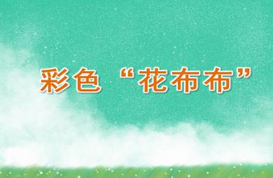 小班美術彩色“花布布”PPT課件