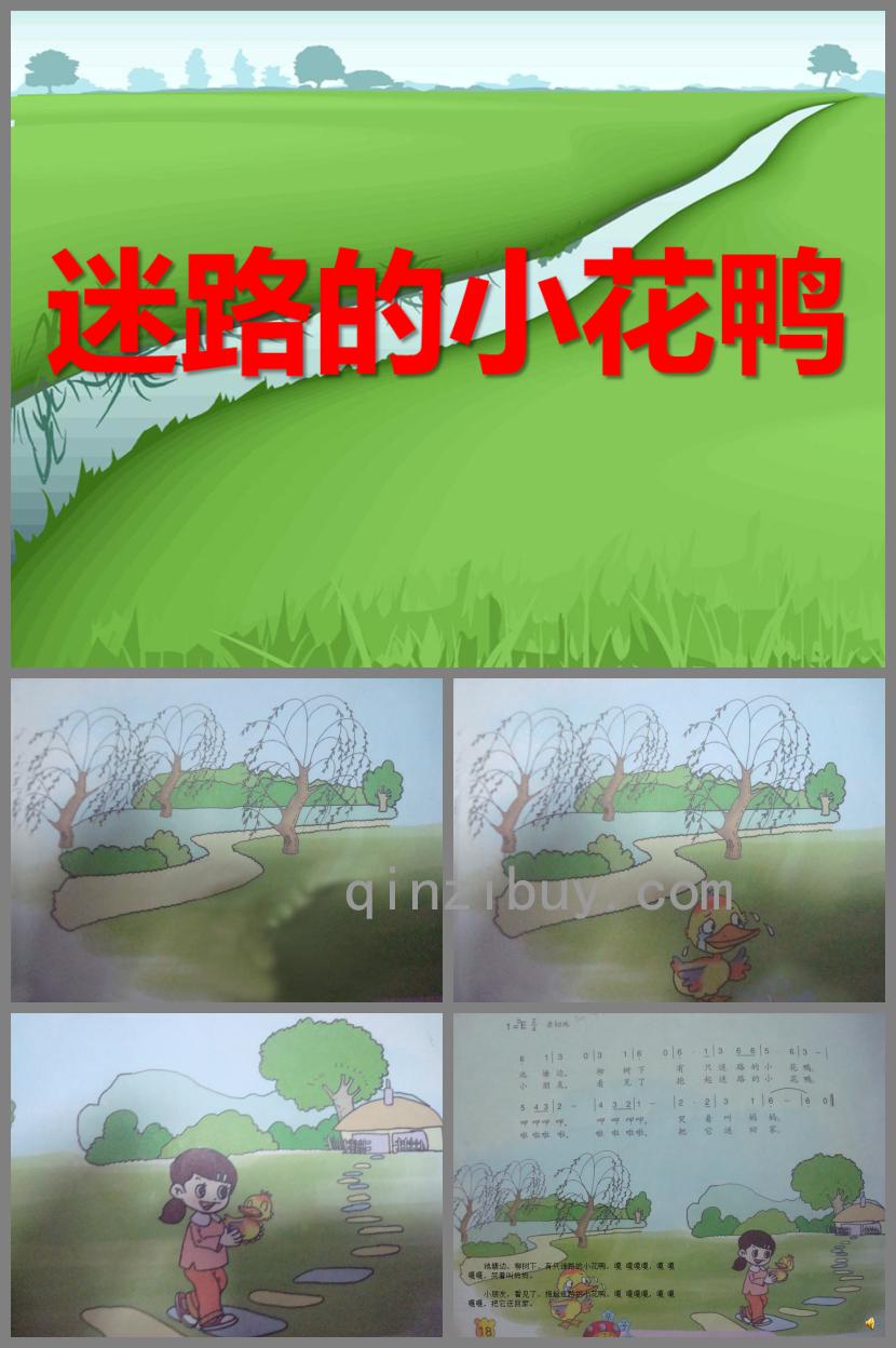 幼兒園迷路的小花鴨PPT課件