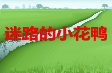 幼兒園迷路的小花鴨PPT課件