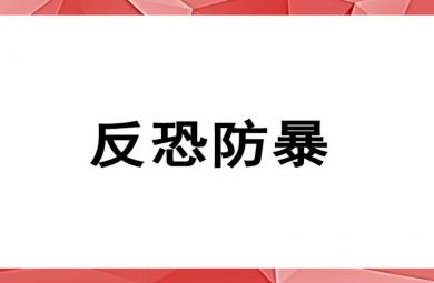 大班教育防暴防恐PPT課件