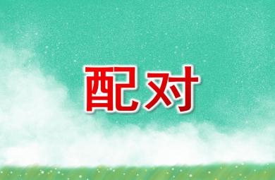 小班數學配對PPT課件