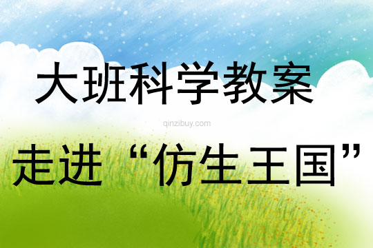 大班科學活動走進“仿生王國”教案