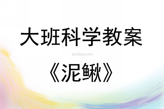 大班科學(xué)活動(dòng)泥鰍教案反思