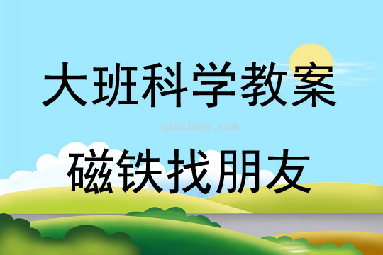 大班科學(xué)活動(dòng)磁鐵找朋友教案反思