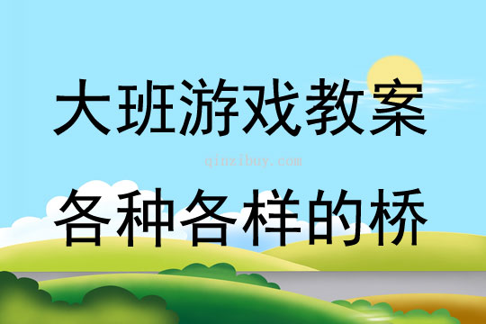 大班結構游戲各種各樣的橋教案反思