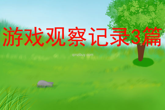 游戲觀察記錄3篇