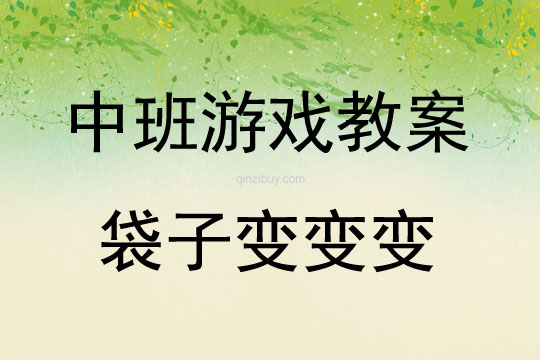 中班戶外體育游戲袋子變變變教案反思