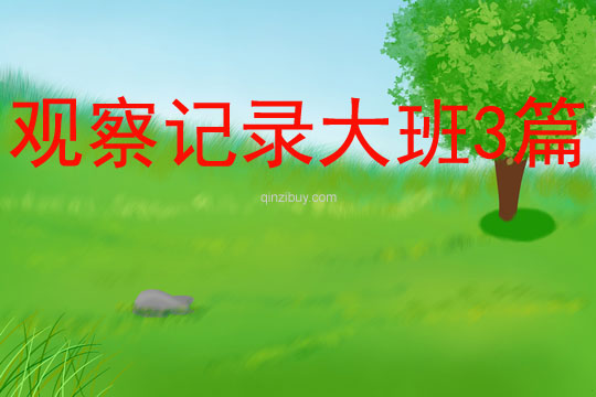觀察記錄大班3篇