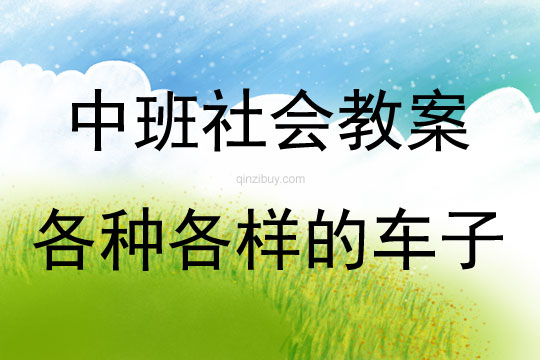 中班社會活動各種各樣的車子教案反思