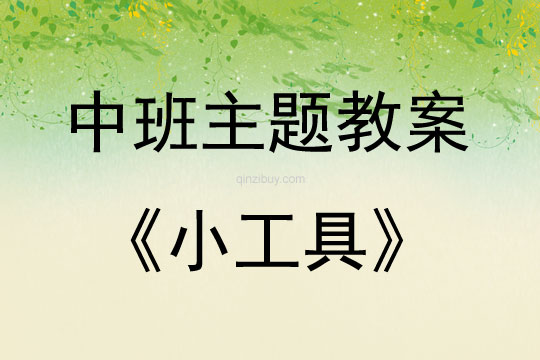 中班主題小工具教案反思