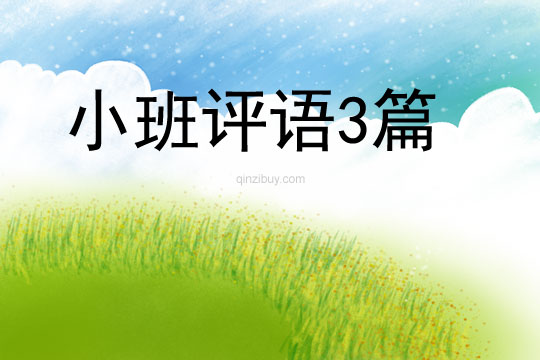 小班評語3篇