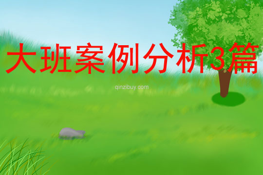大班案例分析3篇