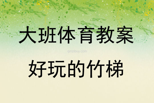 大班體育活動好玩的竹梯教案反思